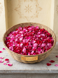 Rose Petals (Loose)