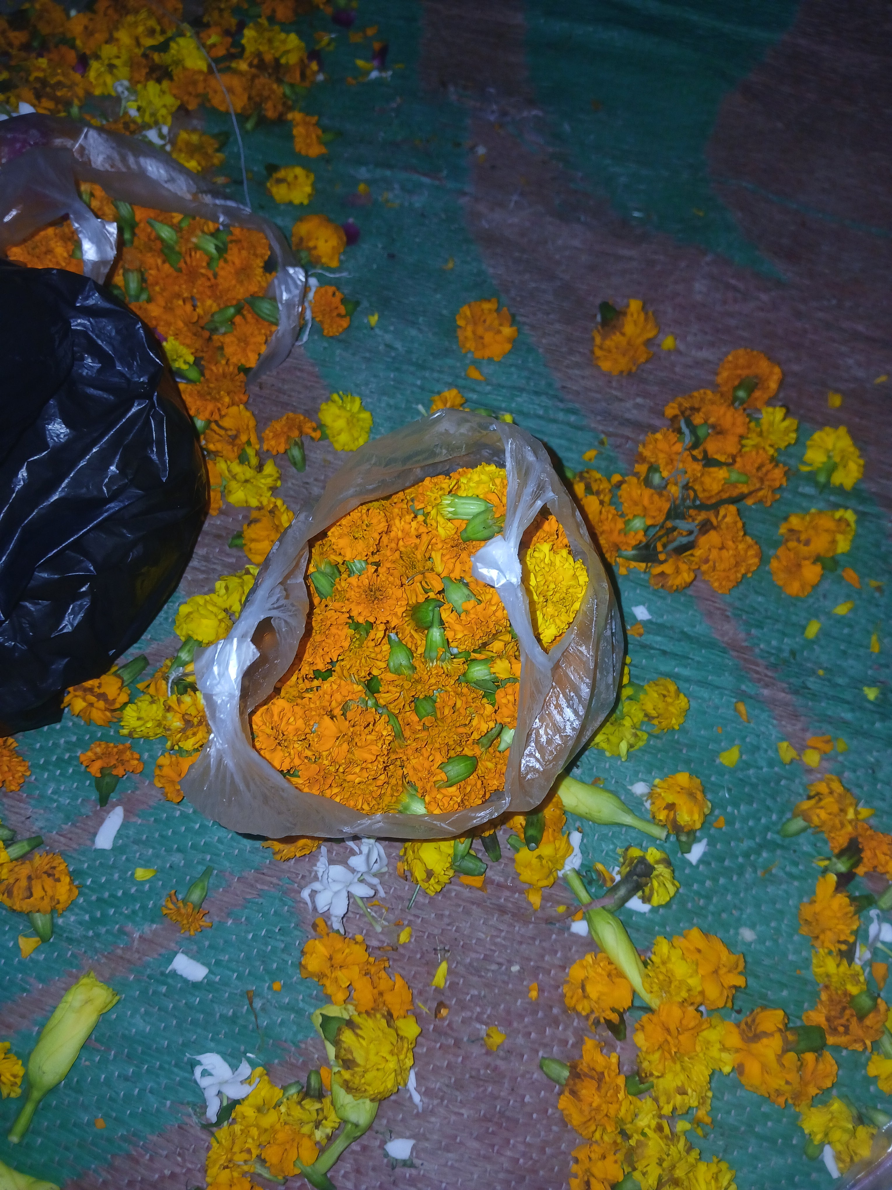 Marigold Flowers (Loose)